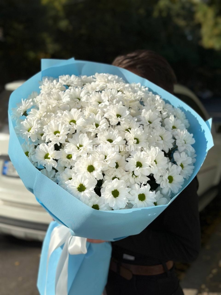 Чудесные ромашки